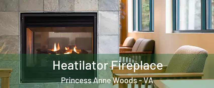 Heatilator Fireplace Princess Anne Woods - VA