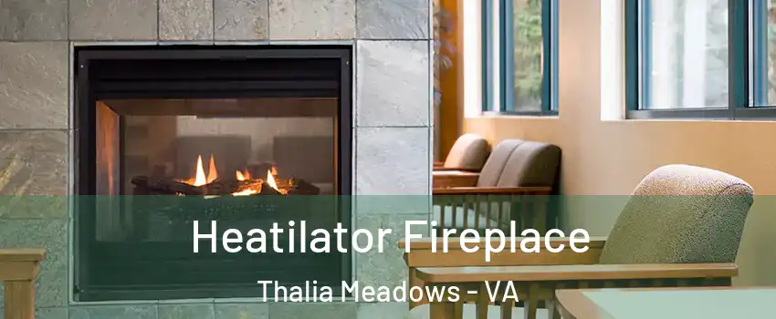 Heatilator Fireplace Thalia Meadows - VA