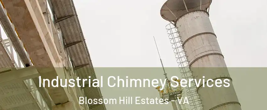 Industrial Chimney Services Blossom Hill Estates - VA