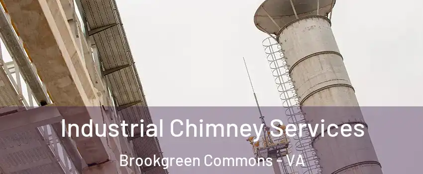 Industrial Chimney Services Brookgreen Commons - VA