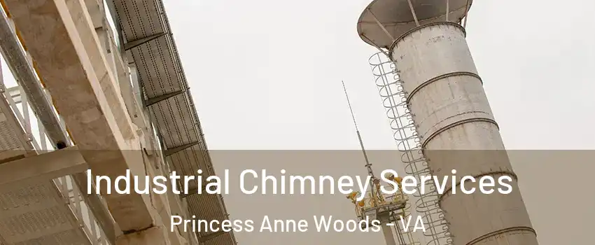 Industrial Chimney Services Princess Anne Woods - VA