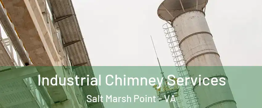 Industrial Chimney Services Salt Marsh Point - VA