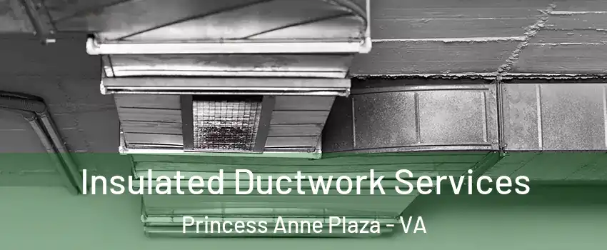Insulated Ductwork Services Princess Anne Plaza - VA