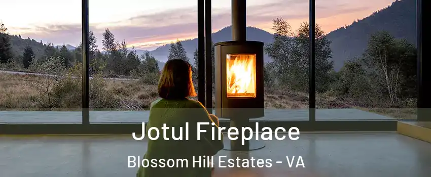 Jotul Fireplace Blossom Hill Estates - VA