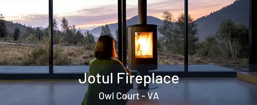 Jotul Fireplace Owl Court - VA
