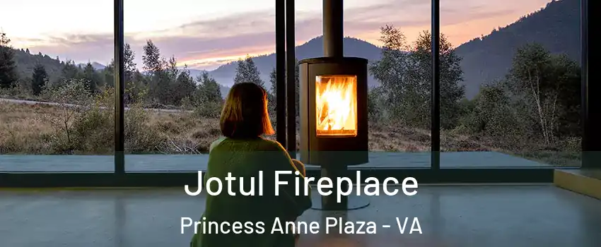 Jotul Fireplace Princess Anne Plaza - VA