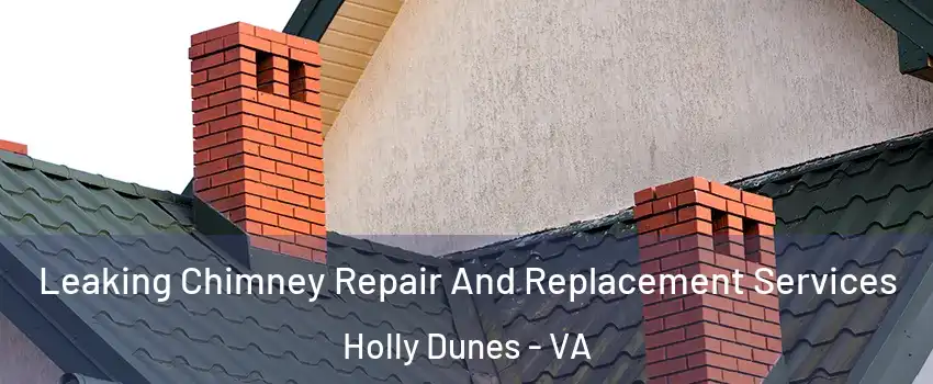 Leaking Chimney Repair And Replacement Services Holly Dunes - VA