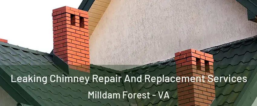 Leaking Chimney Repair And Replacement Services Milldam Forest - VA