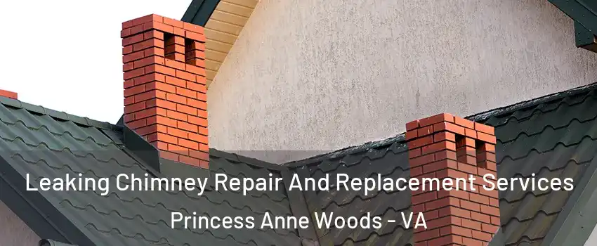 Leaking Chimney Repair And Replacement Services Princess Anne Woods - VA
