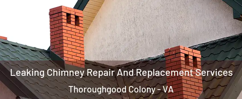 Leaking Chimney Repair And Replacement Services Thoroughgood Colony - VA