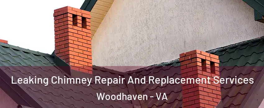 Leaking Chimney Repair And Replacement Services Woodhaven - VA