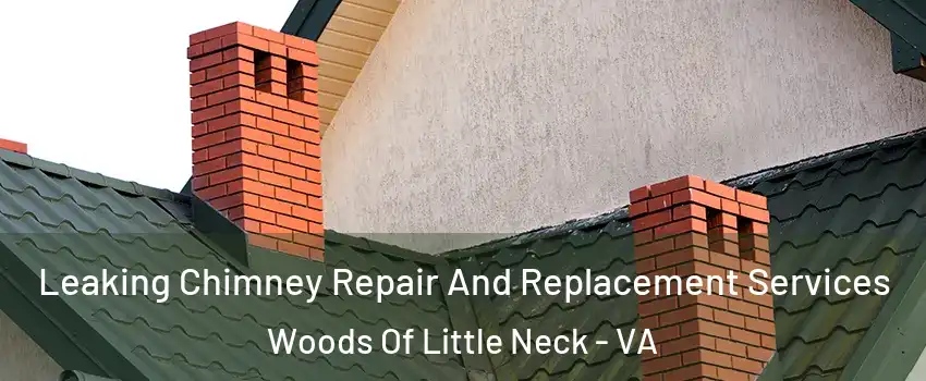 Leaking Chimney Repair And Replacement Services Woods Of Little Neck - VA