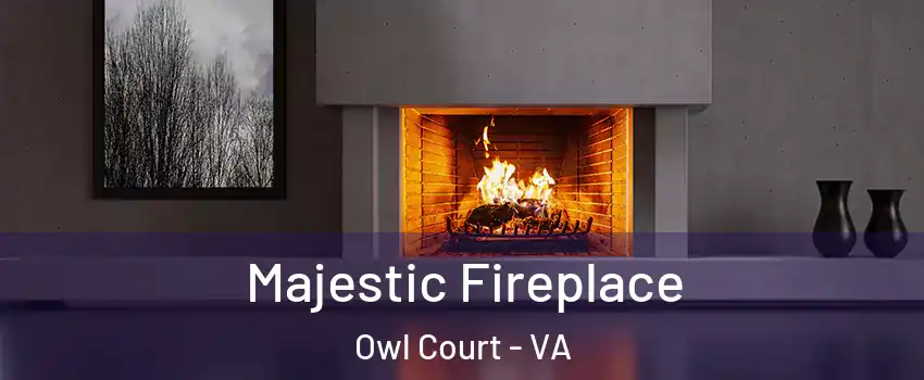 Majestic Fireplace Owl Court - VA