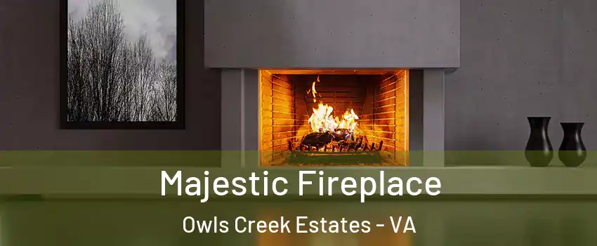 Majestic Fireplace Owls Creek Estates - VA