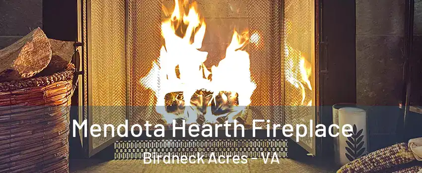 Mendota Hearth Fireplace Birdneck Acres - VA