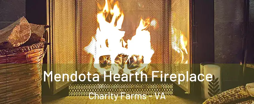 Mendota Hearth Fireplace Charity Farms - VA