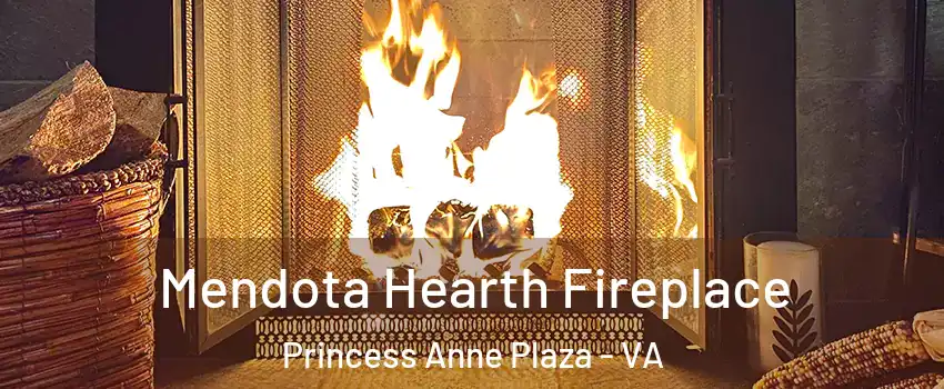 Mendota Hearth Fireplace Princess Anne Plaza - VA