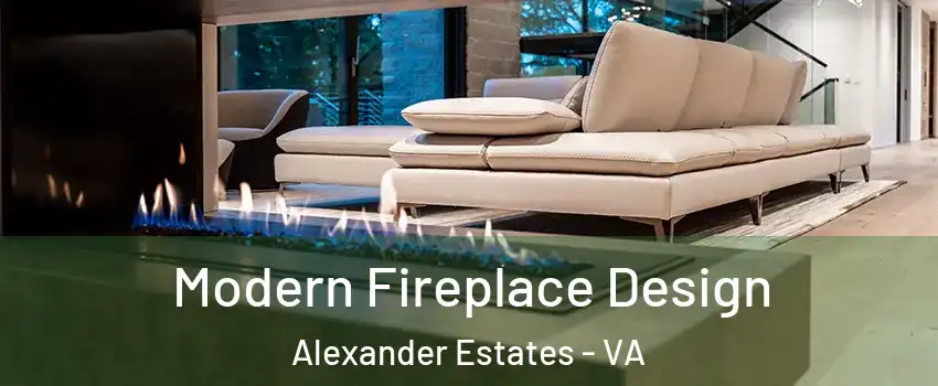 Modern Fireplace Design Alexander Estates - VA