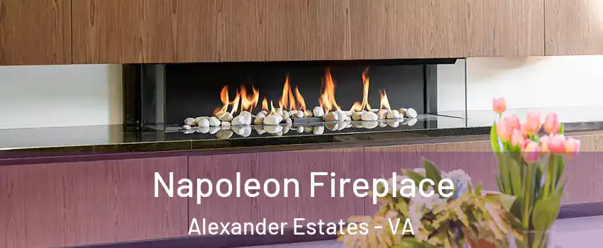 Napoleon Fireplace Alexander Estates - VA