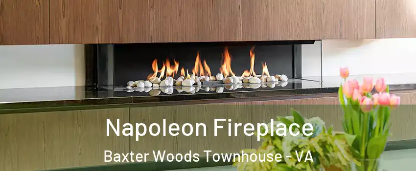 Napoleon Fireplace Baxter Woods Townhouse - VA
