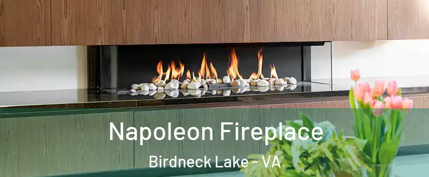 Napoleon Fireplace Birdneck Lake - VA