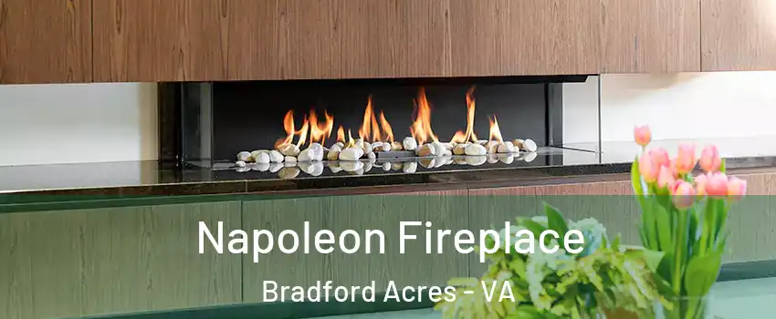 Napoleon Fireplace Bradford Acres - VA