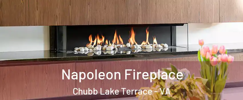 Napoleon Fireplace Chubb Lake Terrace - VA