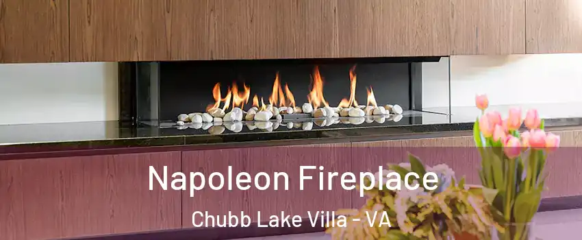 Napoleon Fireplace Chubb Lake Villa - VA