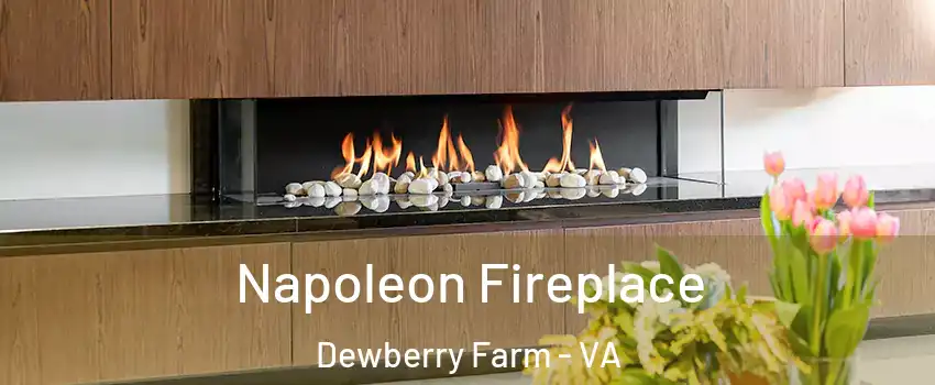 Napoleon Fireplace Dewberry Farm - VA