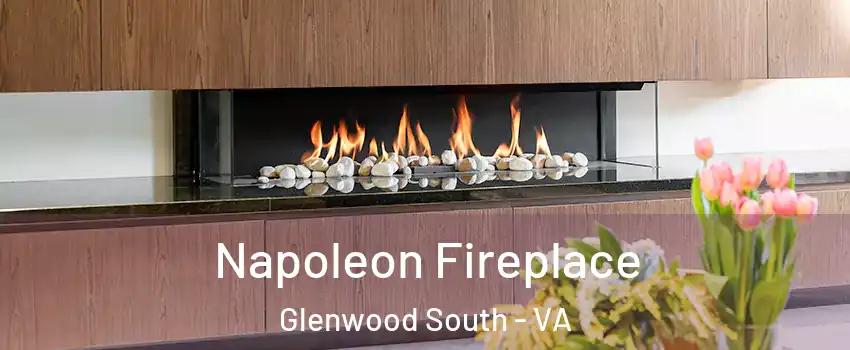 Napoleon Fireplace Glenwood South - VA