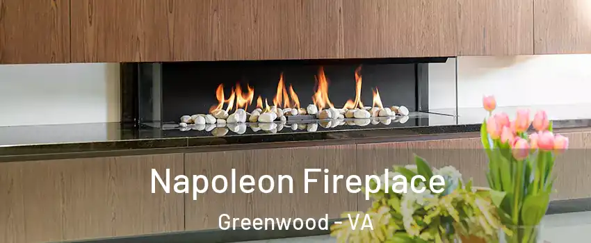 Napoleon Fireplace Greenwood - VA