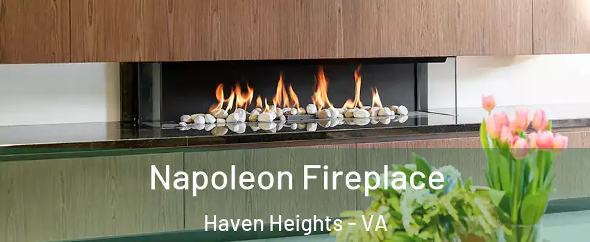 Napoleon Fireplace Haven Heights - VA
