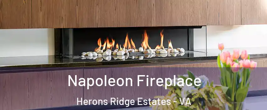 Napoleon Fireplace Herons Ridge Estates - VA
