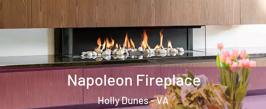 Napoleon Fireplace Holly Dunes - VA