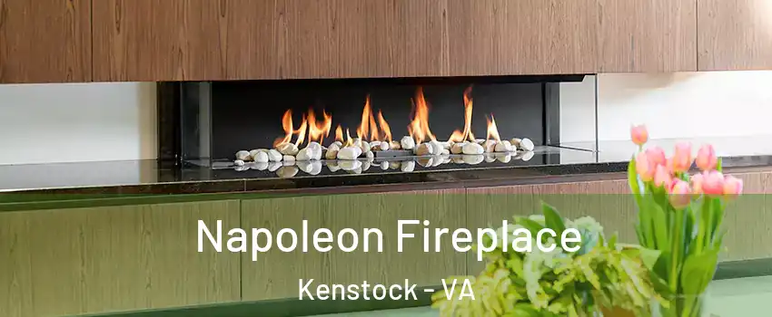 Napoleon Fireplace Kenstock - VA