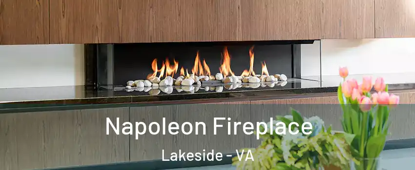 Napoleon Fireplace Lakeside - VA