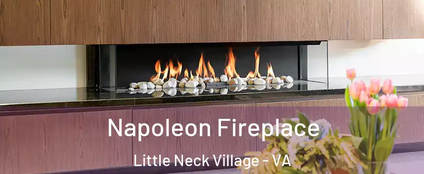 Napoleon Fireplace Little Neck Village - VA