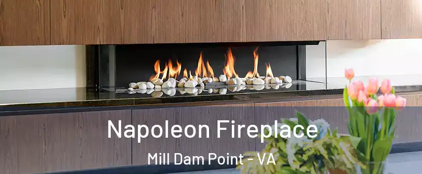 Napoleon Fireplace Mill Dam Point - VA