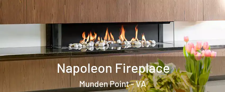 Napoleon Fireplace Munden Point - VA