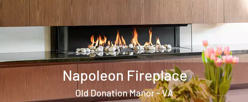 Napoleon Fireplace Old Donation Manor - VA