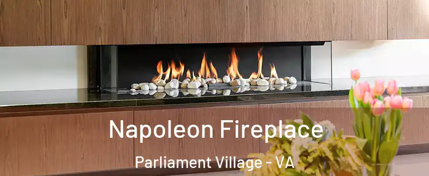 Napoleon Fireplace Parliament Village - VA