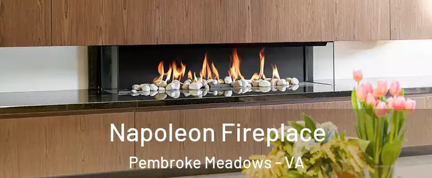 Napoleon Fireplace Pembroke Meadows - VA