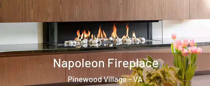 Napoleon Fireplace Pinewood Village - VA
