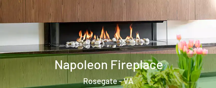 Napoleon Fireplace Rosegate - VA