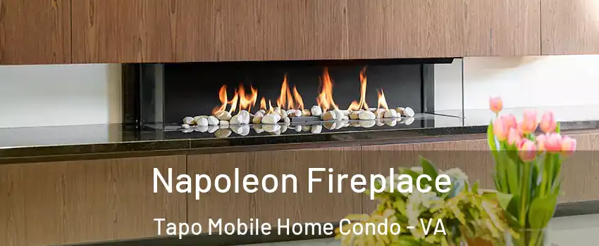 Napoleon Fireplace Tapo Mobile Home Condo - VA