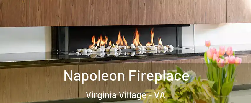 Napoleon Fireplace Virginia Village - VA