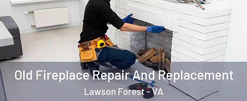 Old Fireplace Repair And Replacement Lawson Forest - VA