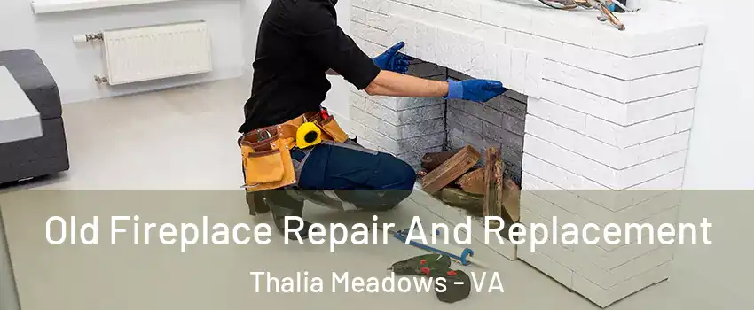 Old Fireplace Repair And Replacement Thalia Meadows - VA