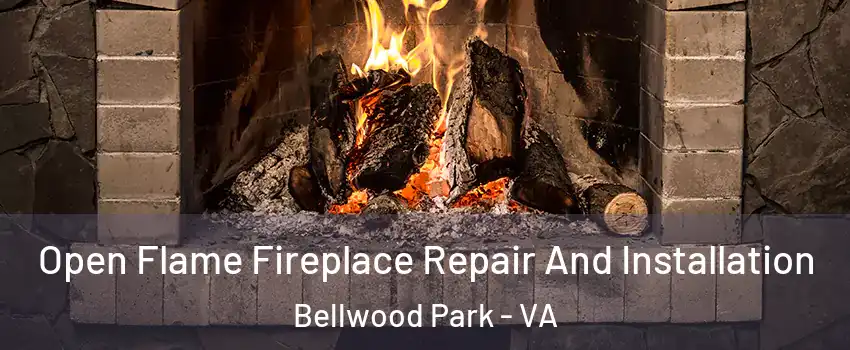 Open Flame Fireplace Repair And Installation Bellwood Park - VA