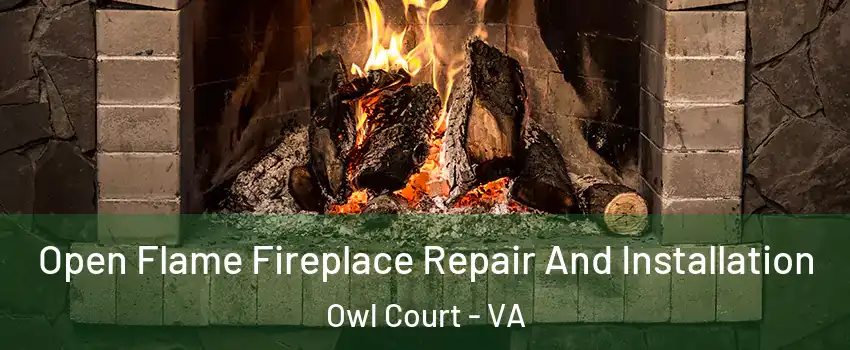 Open Flame Fireplace Repair And Installation Owl Court - VA